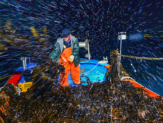 수산업협동조합중앙회 회장